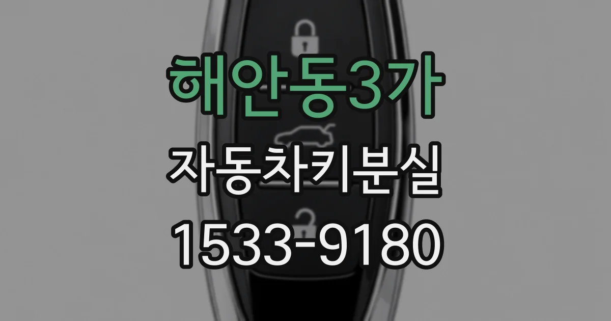 해안동3가 자동차키분실