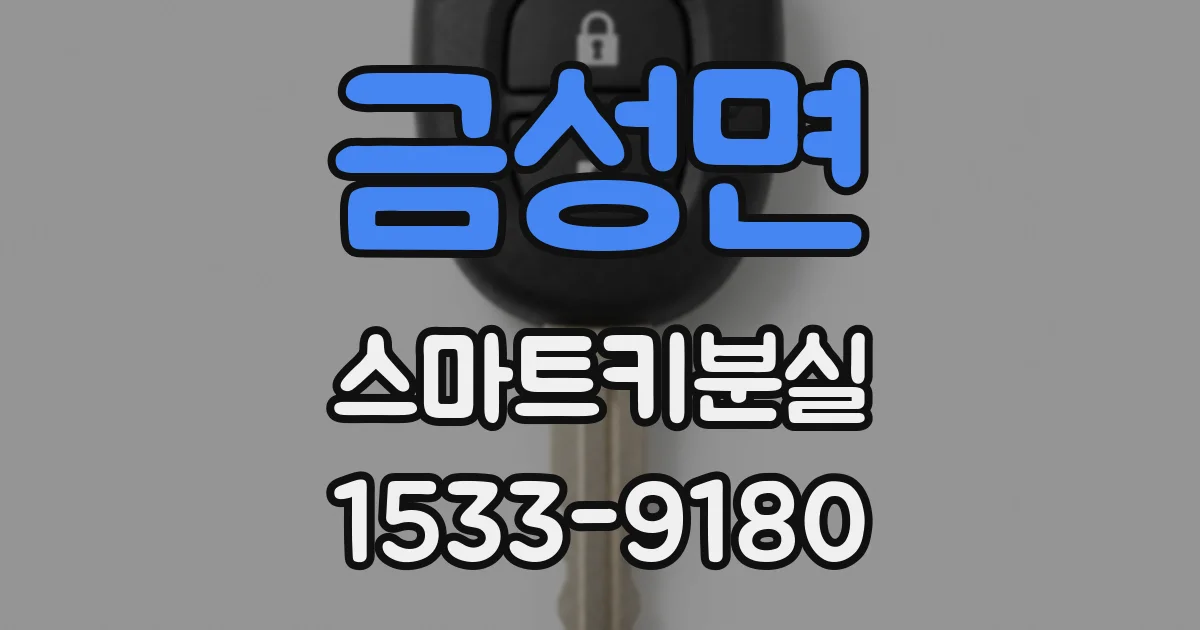 금성면 스마트키분실