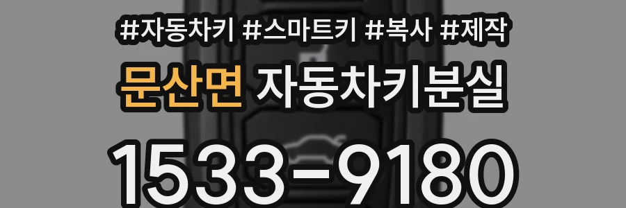 문산면 자동차키분실