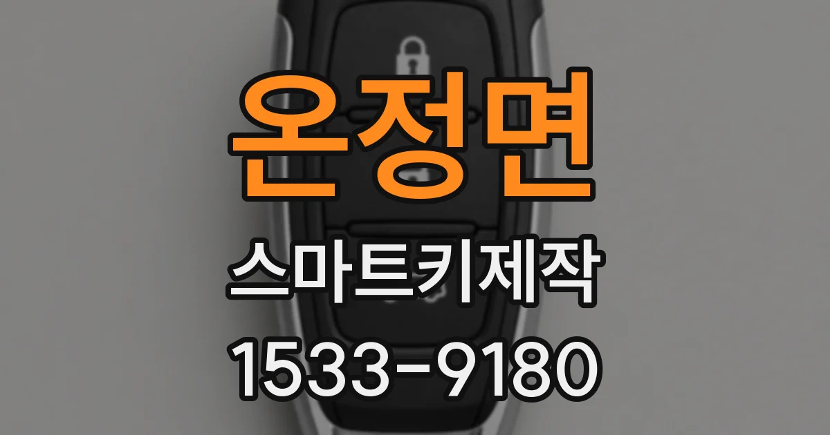온정면 스마트키제작