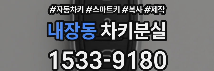 내장동 차키분실