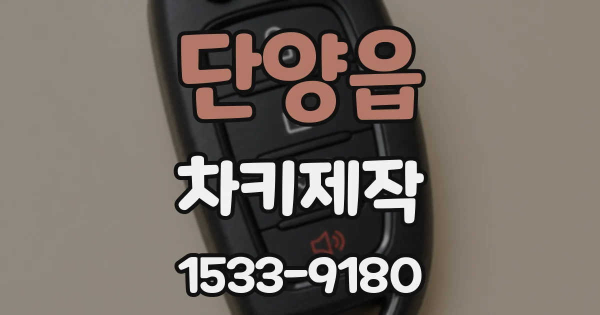단양읍 차키제작
