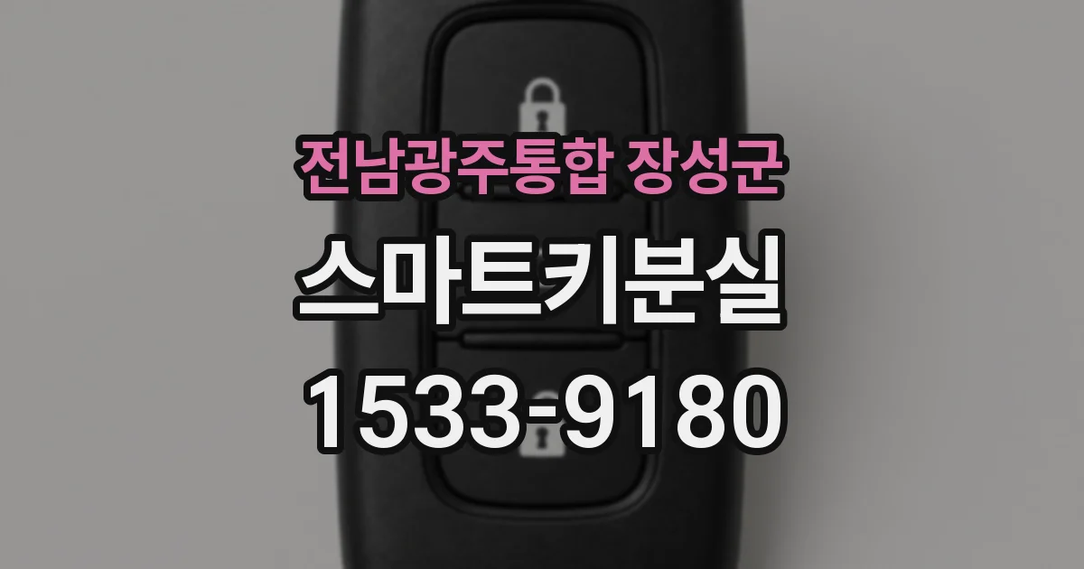 전남광주통합 장성군 스마트키분실