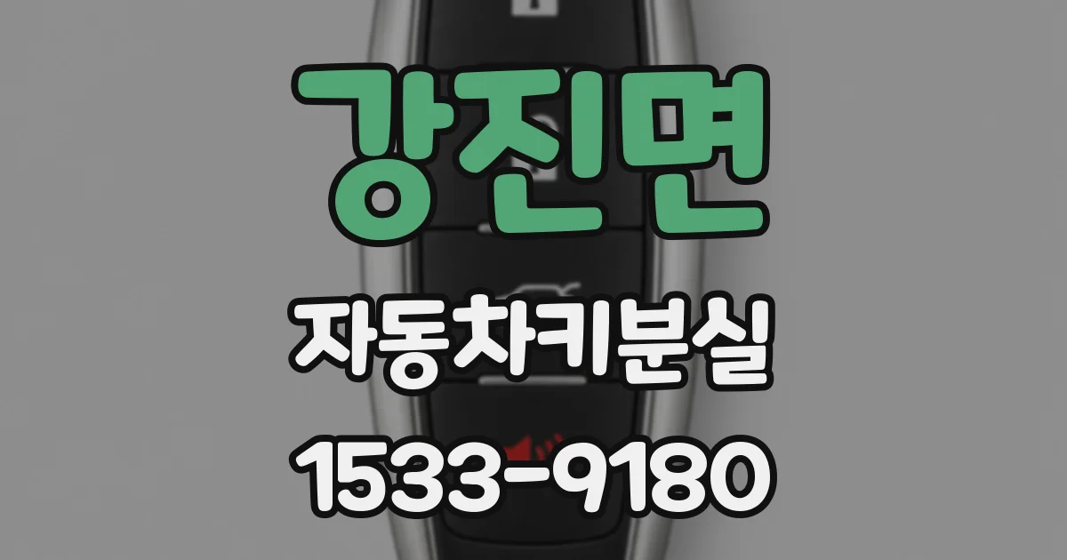 강진면 자동차키분실