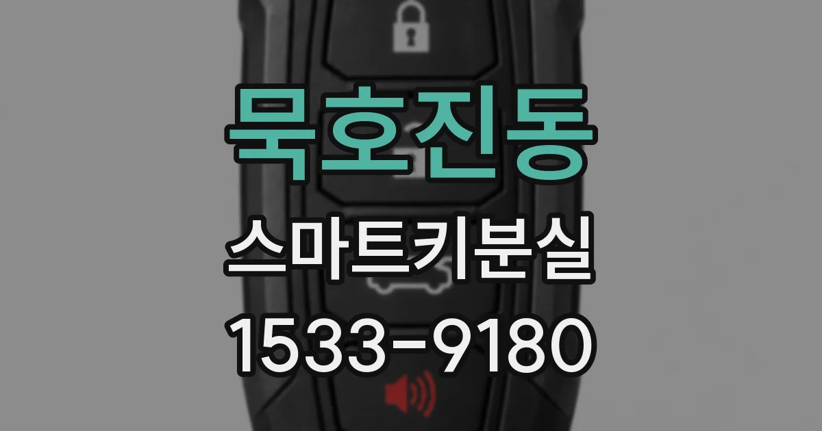 묵호진동 스마트키분실