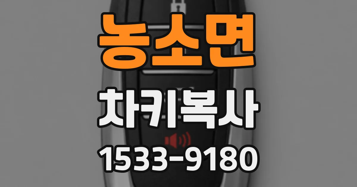 농소면 차키복사