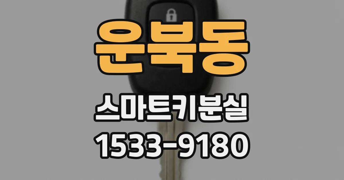 운북동 스마트키분실