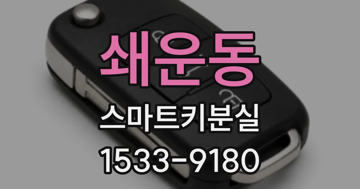 쇄운동 스마트키분실