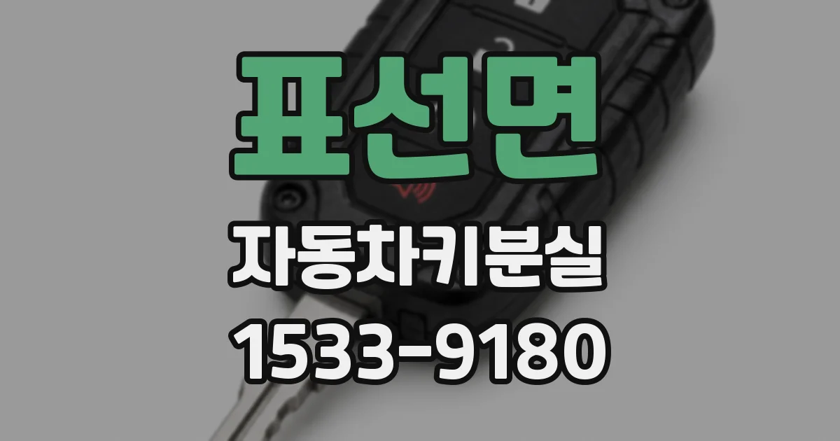 표선면 자동차키분실