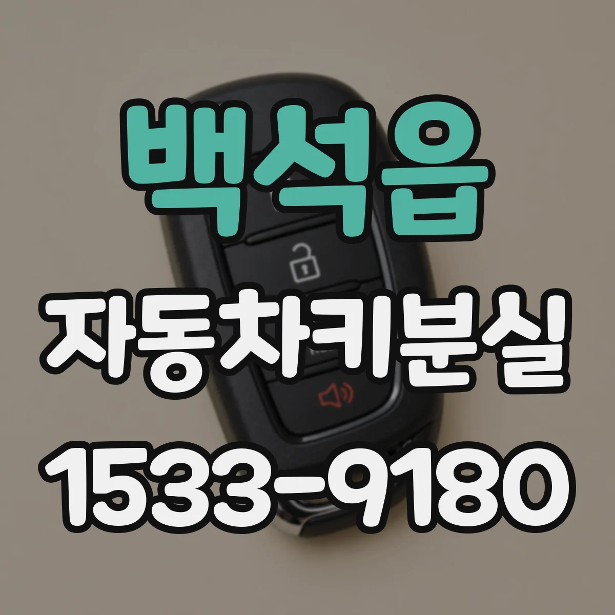 백석읍 자동차키분실