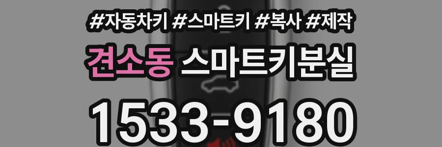 견소동 스마트키분실