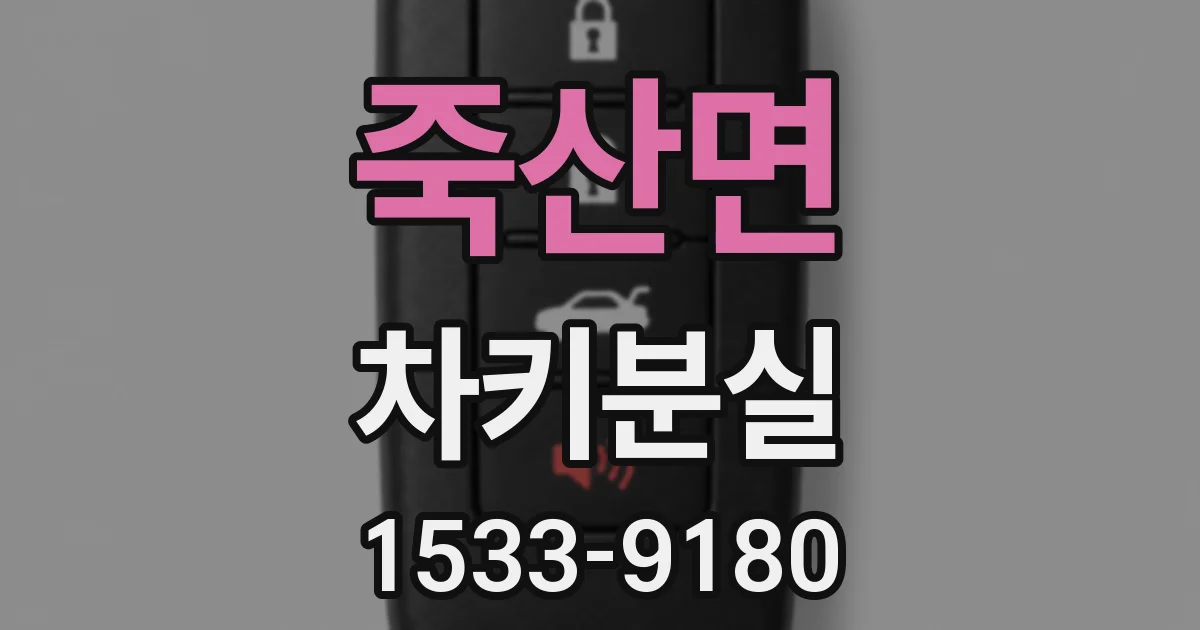 죽산면 차키분실