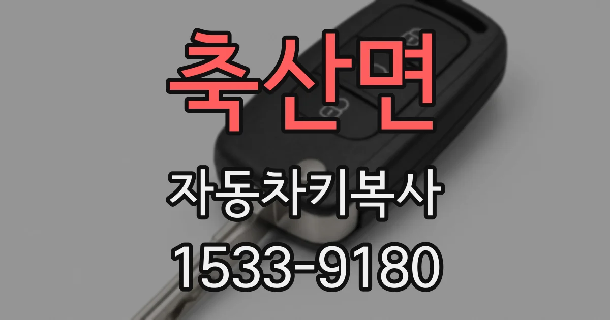 축산면 자동차키복사