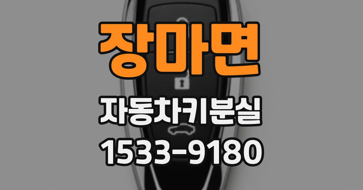장마면 자동차키분실