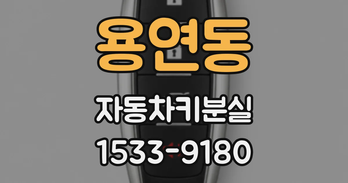 용연동 자동차키분실