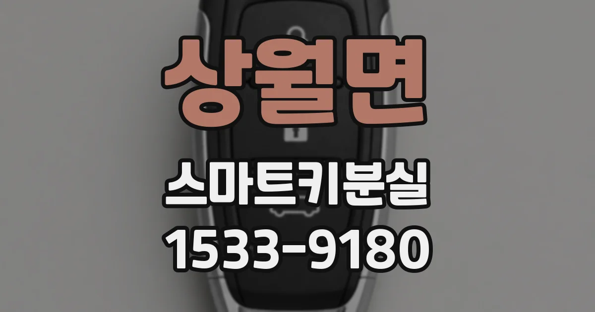 상월면 스마트키분실