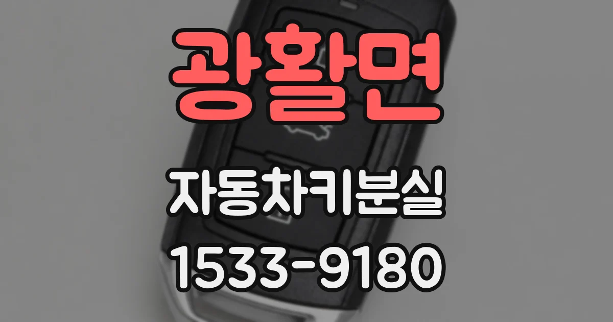 광활면 자동차키분실