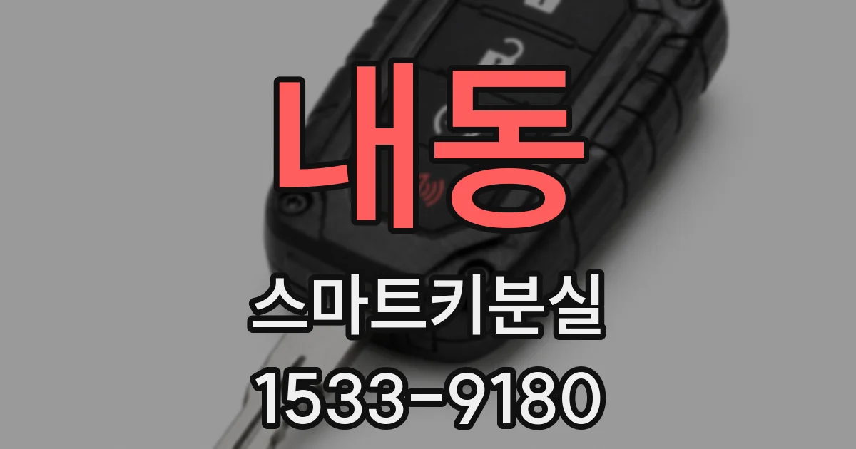 내동 스마트키분실