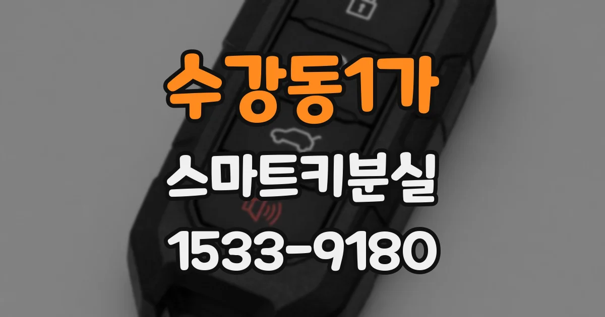 수강동1가 스마트키분실