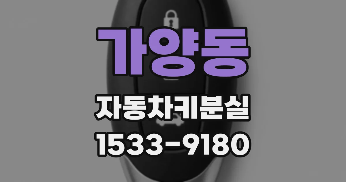 가양동 자동차키분실