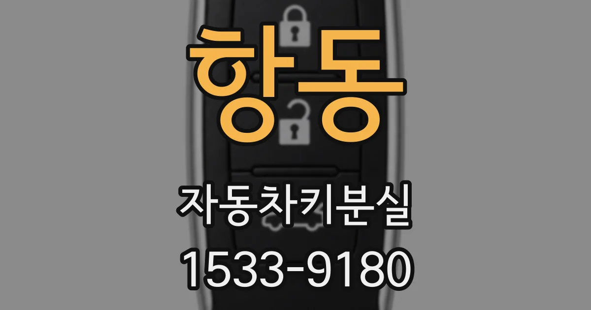 항동 자동차키분실