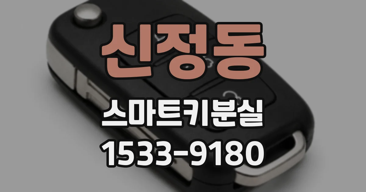 신정동 스마트키분실