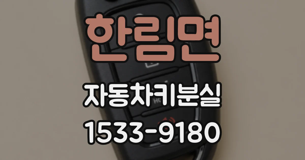 한림면 자동차키분실