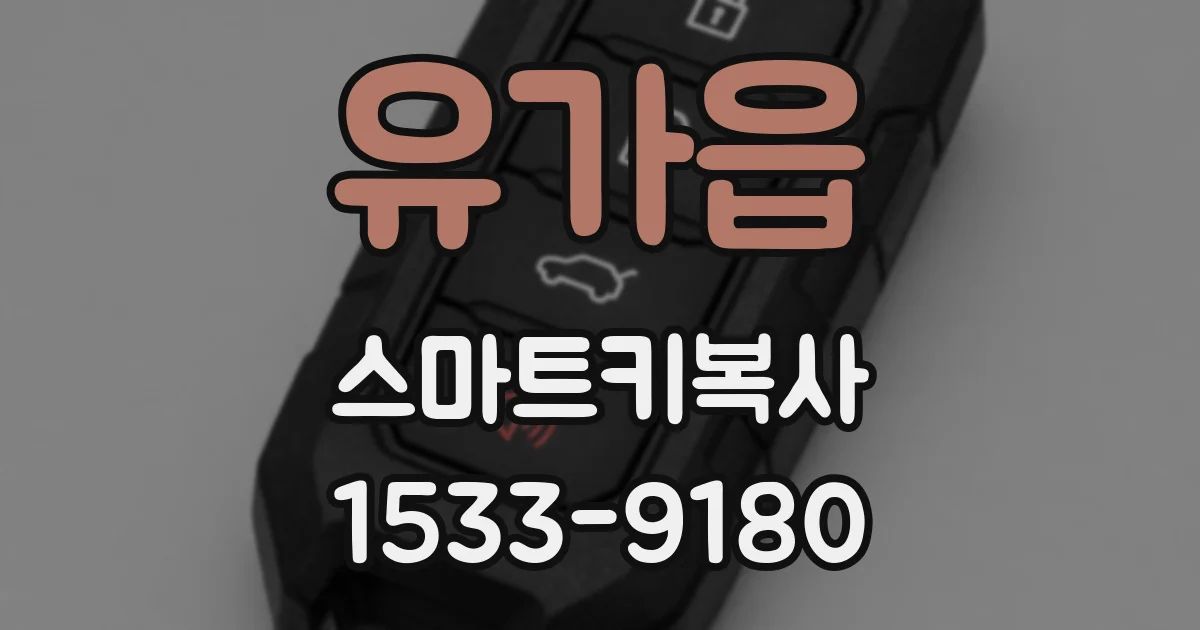 유가읍 스마트키복사