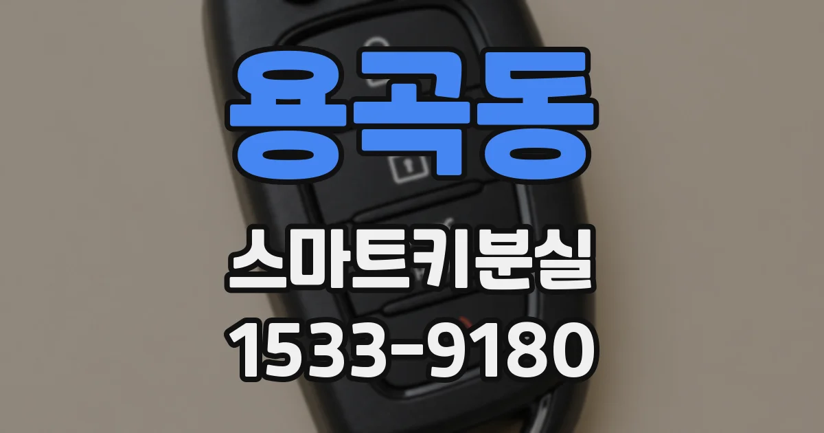 용곡동 스마트키분실