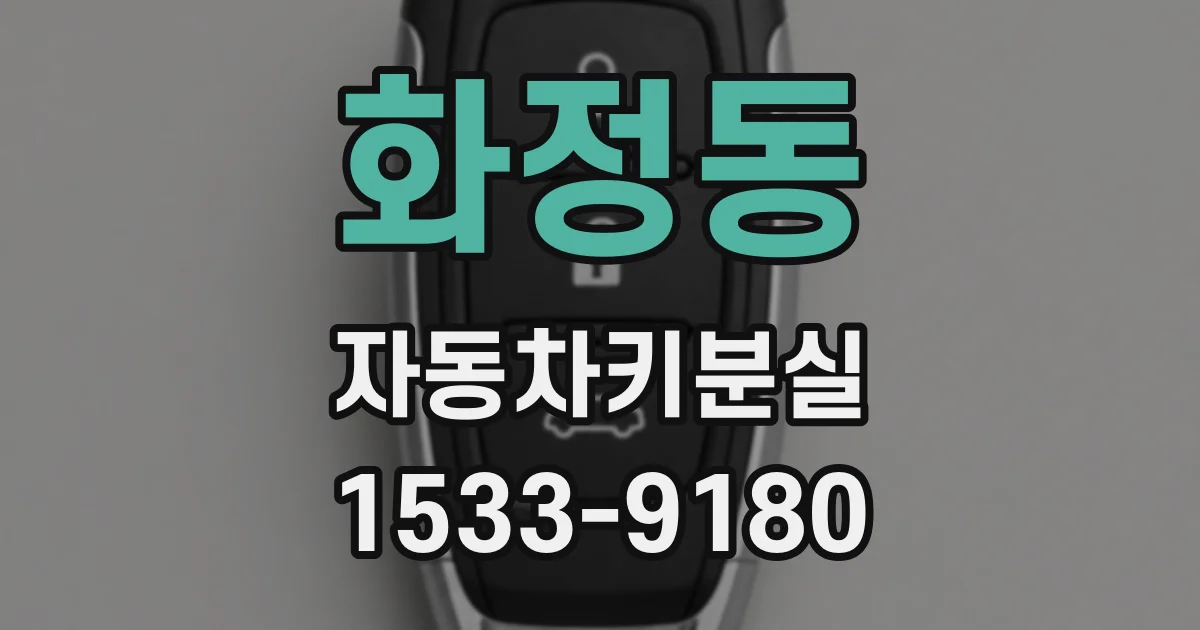 화정동 자동차키분실