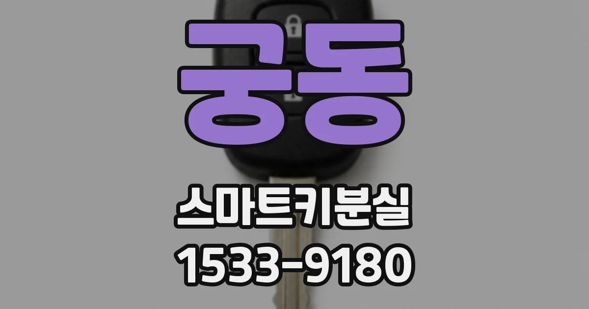 궁동 스마트키분실