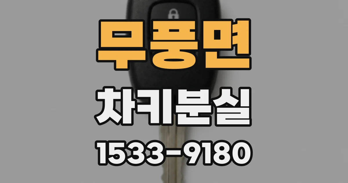 무풍면 차키분실