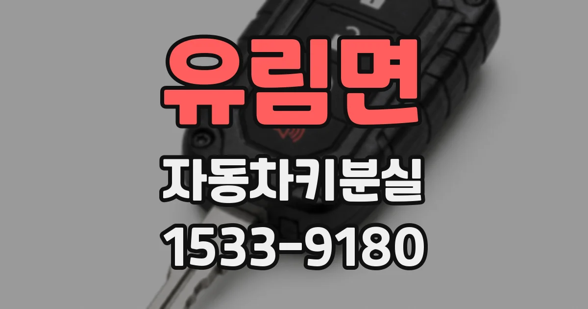 유림면 자동차키분실