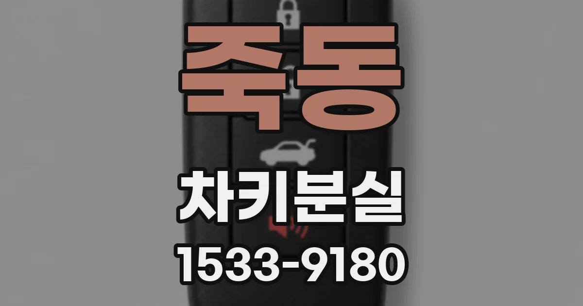 죽동 차키분실