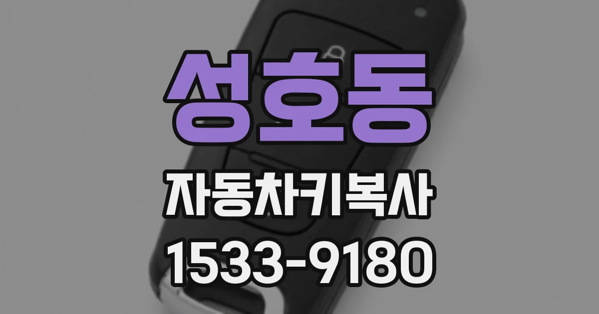 성호동 자동차키복사