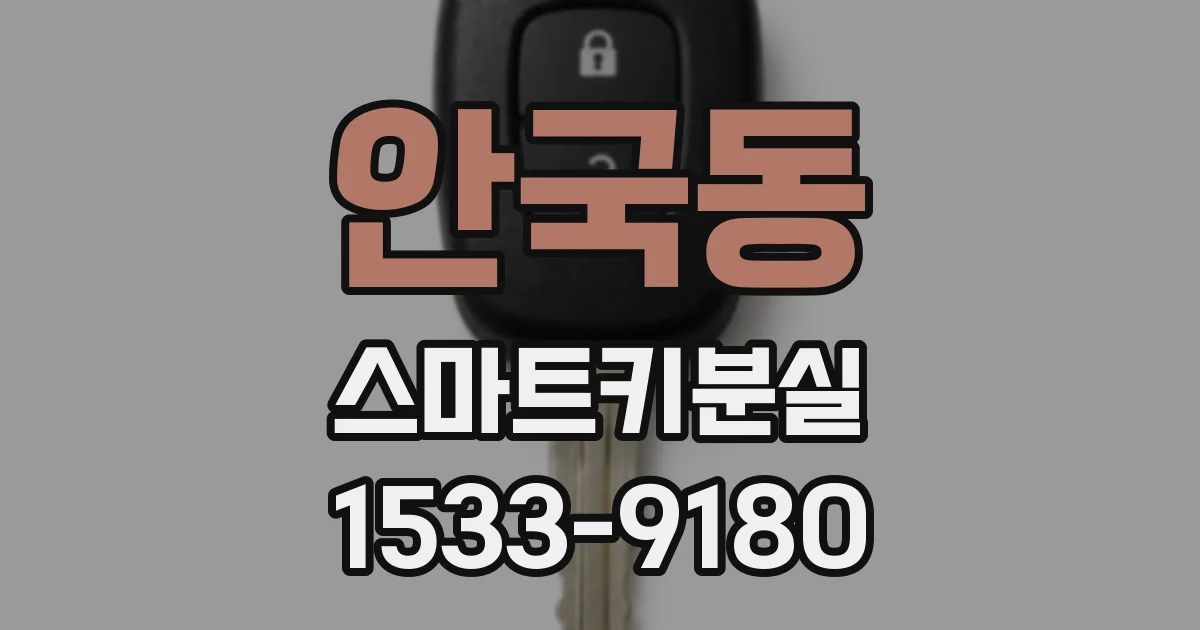 안국동 스마트키분실
