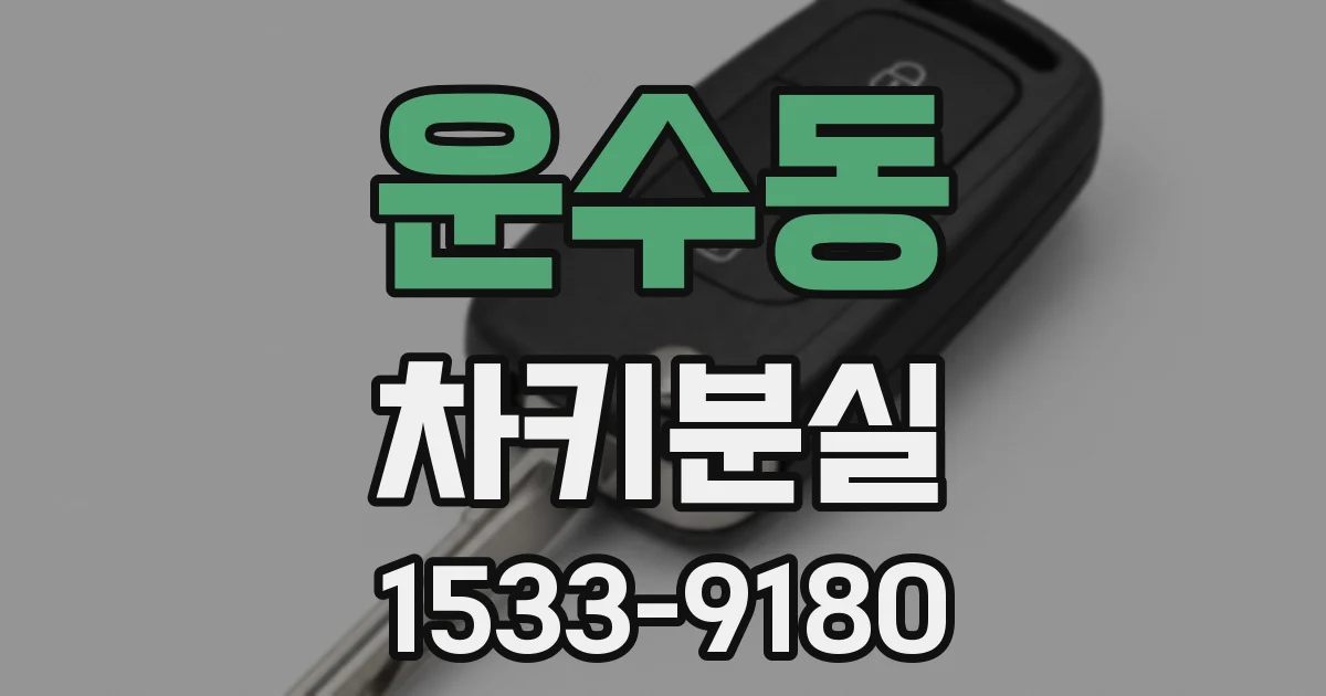 운수동 차키분실