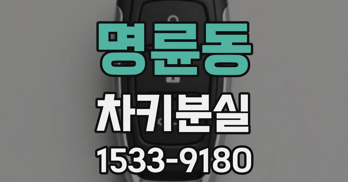 명륜동 차키분실