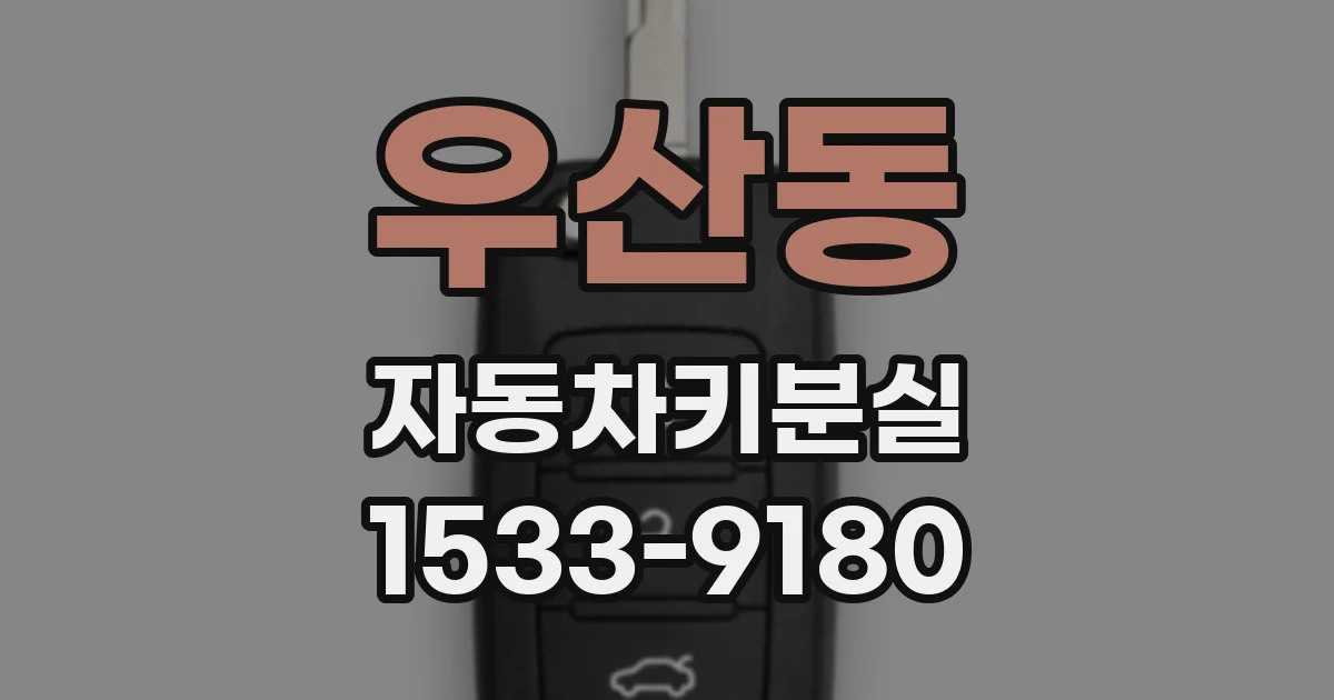 우산동 자동차키분실