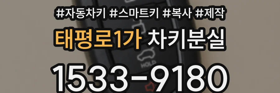 태평로1가 차키분실