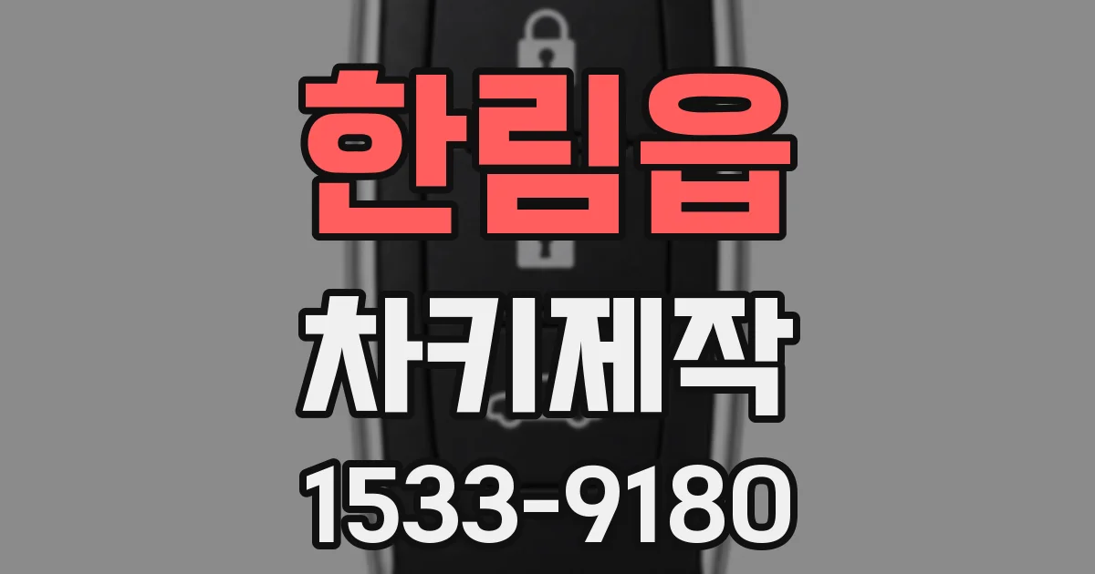 한림읍 차키제작