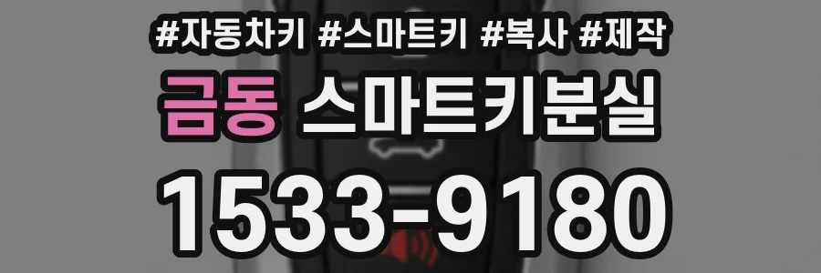 금동 스마트키분실