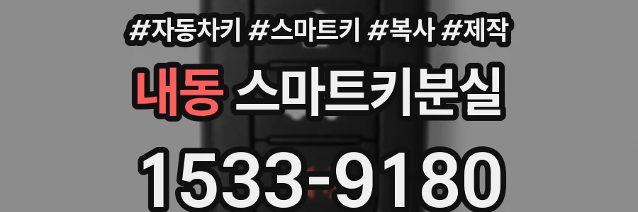 내동 스마트키분실