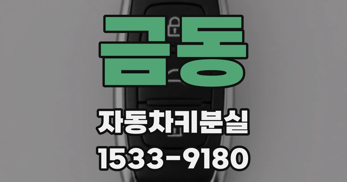 금동 자동차키분실