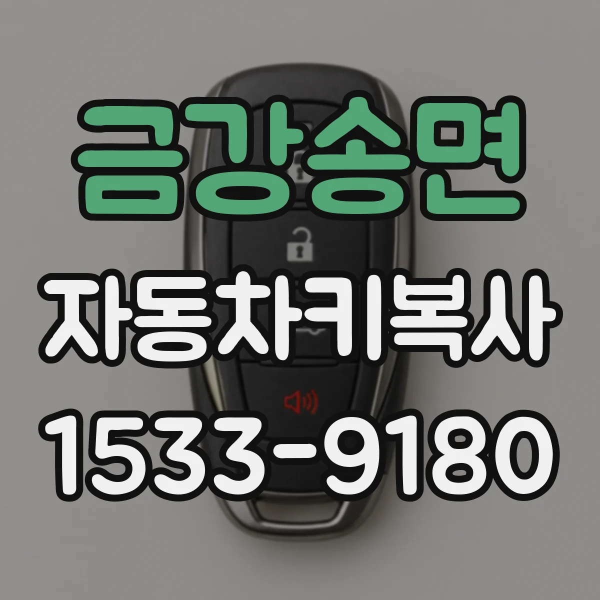 금강송면 자동차키복사