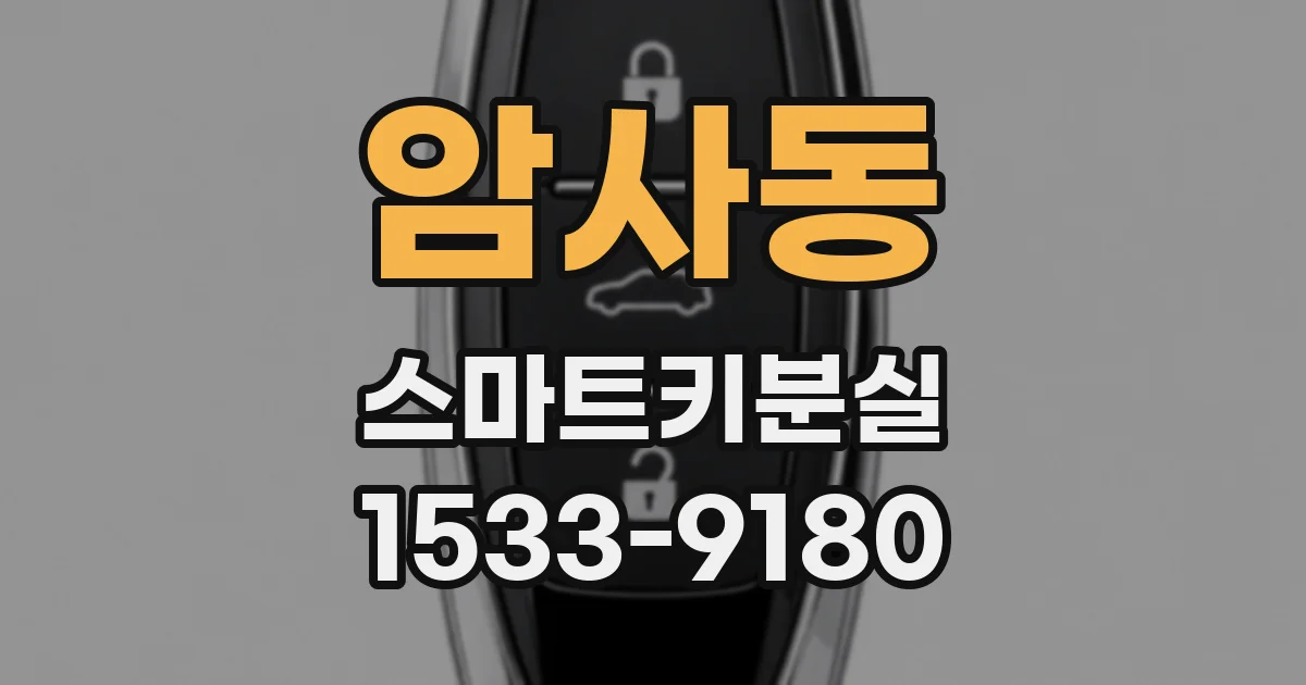암사동 스마트키분실