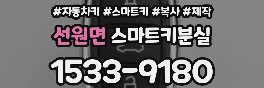 선원면 스마트키분실