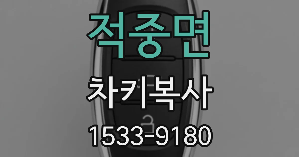 적중면 차키복사