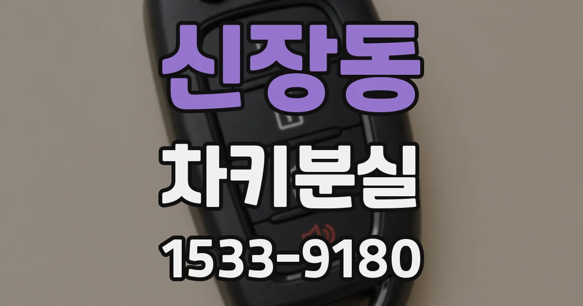 신장동 차키분실