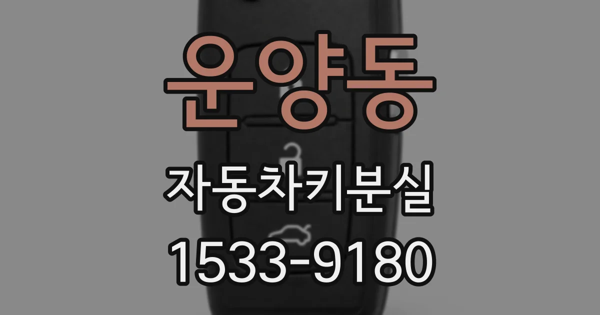 운양동 자동차키분실